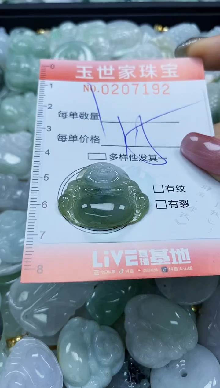 【闪购商品】翡翠颈饰未镶嵌闪购0207192