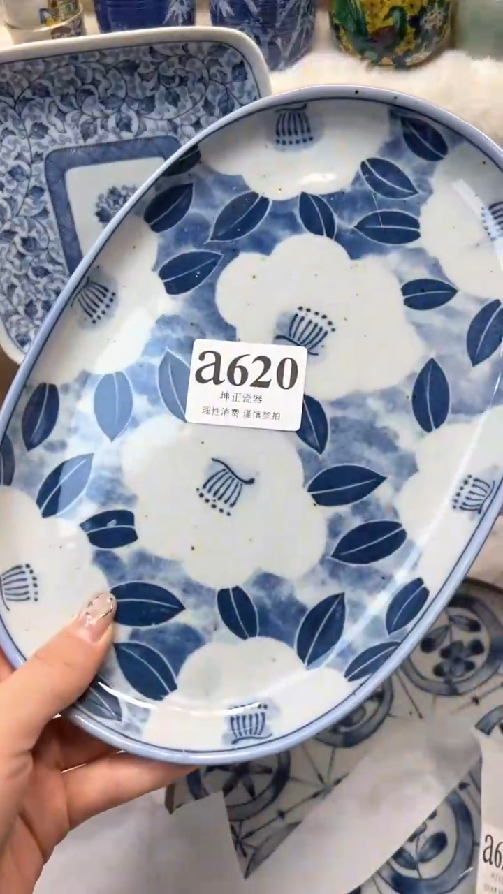 【闪购商品】瓷片          a620