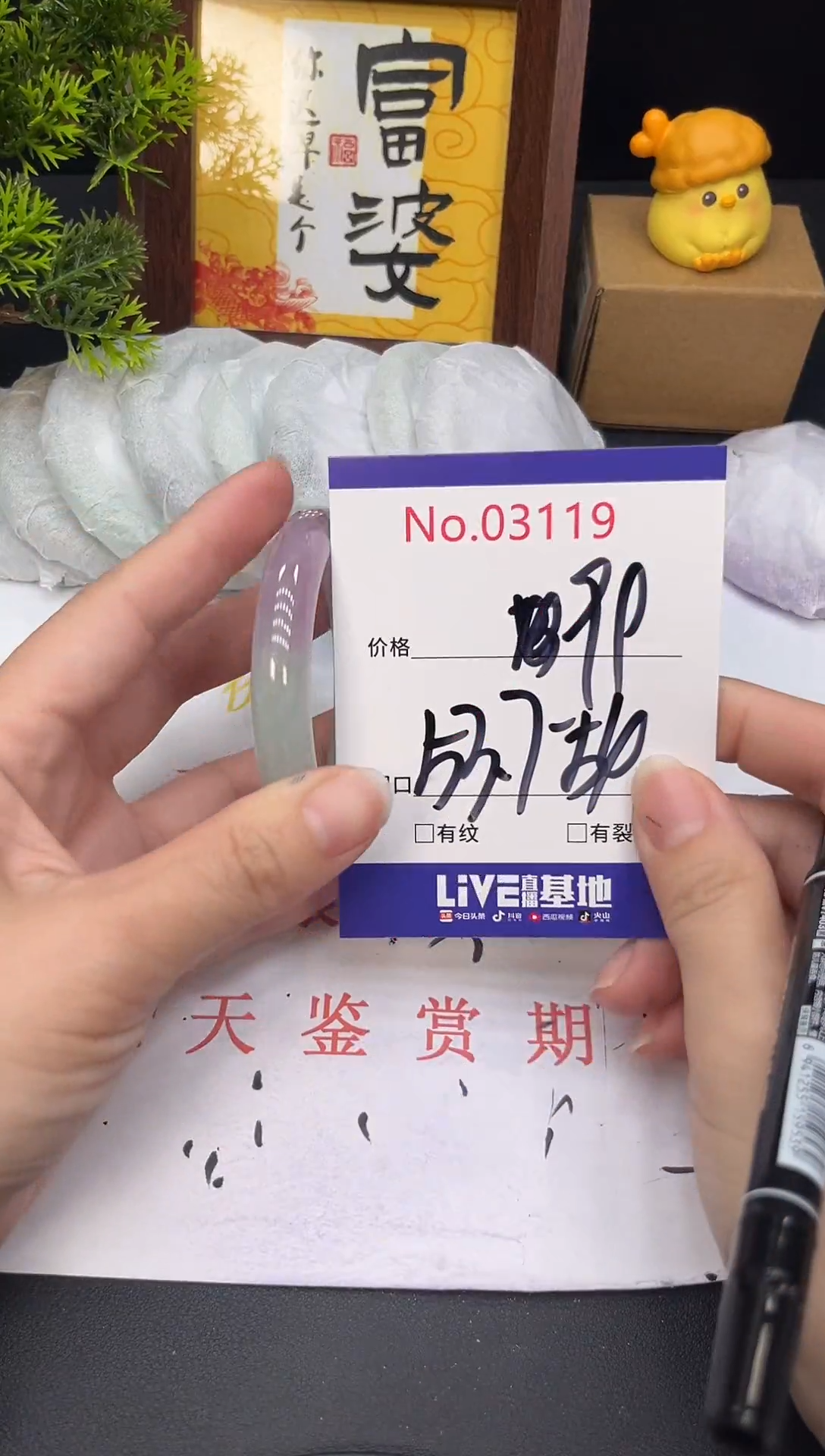 未镶嵌手镯翡翠3119