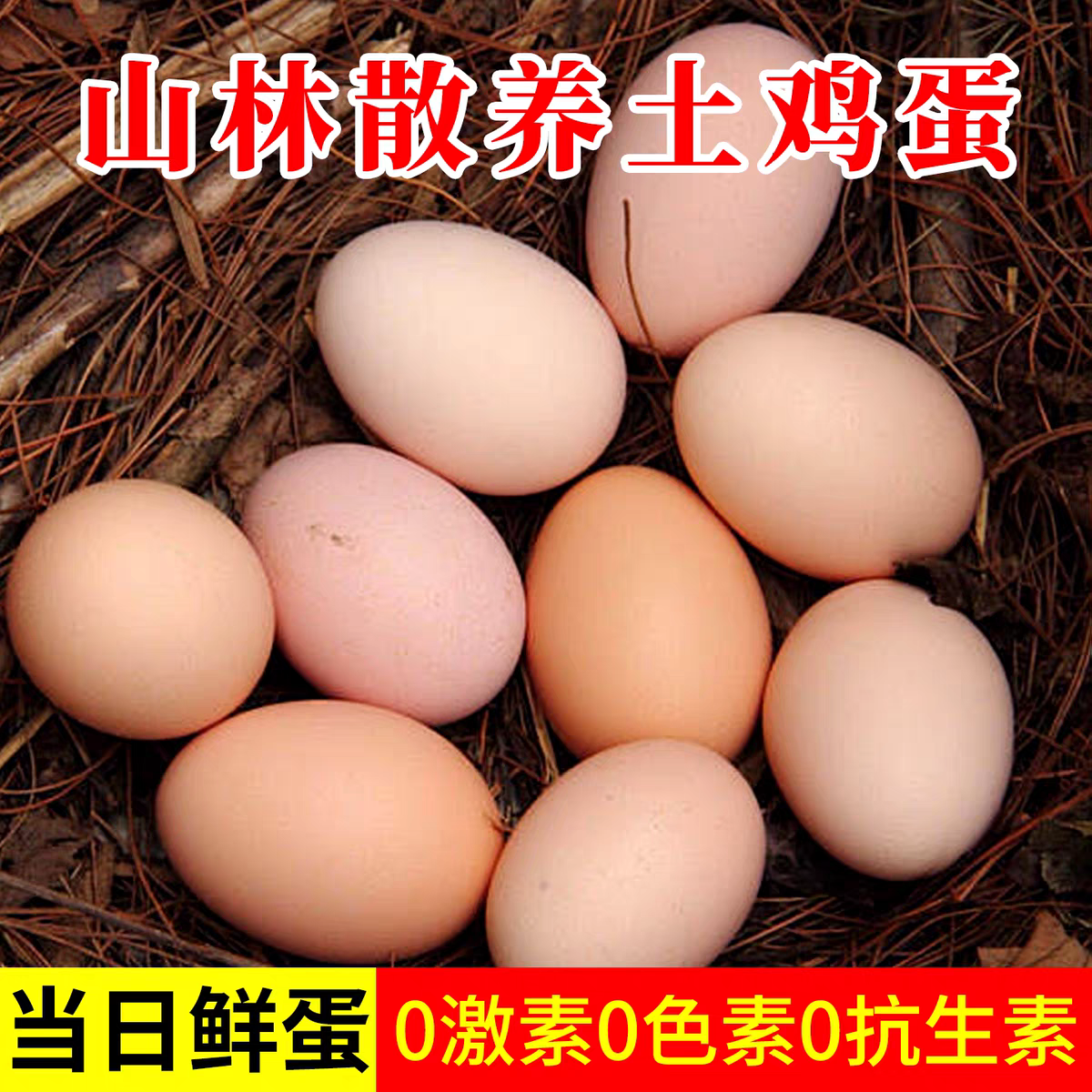 农家散养新鲜土鸡蛋山林纯五谷喂养营养丰富