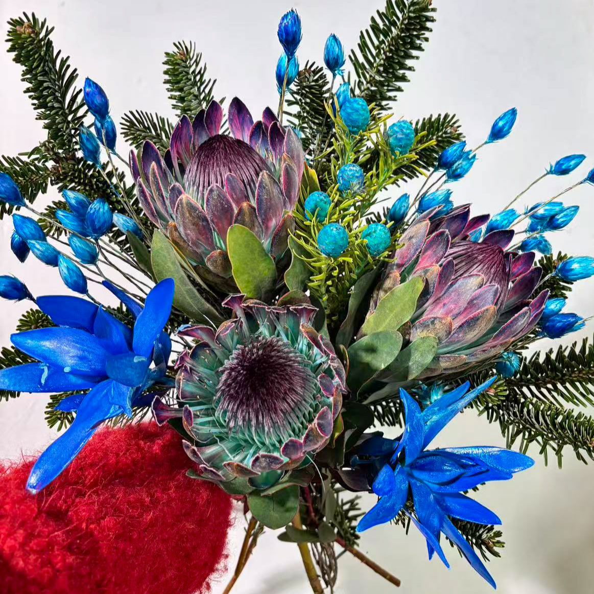 【星屿星辰】南非进口花塞尔维亚公主鲜花花束