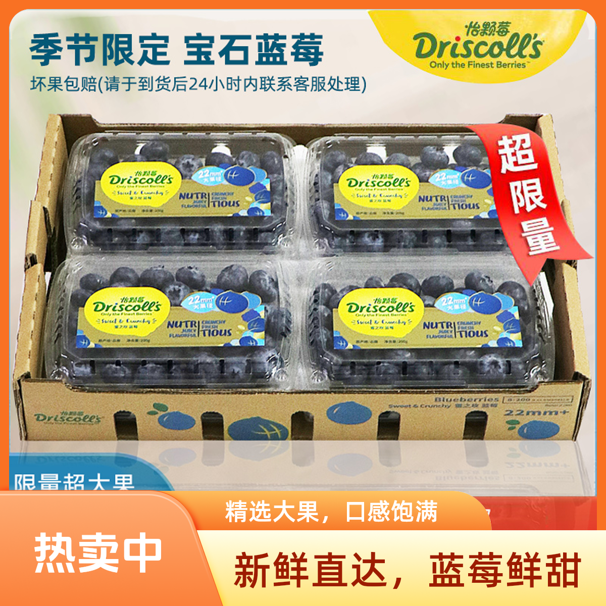 限量供应】怡颗莓云南蜜之玫蓝莓22mm超大果Driscoll's蓝莓顺丰