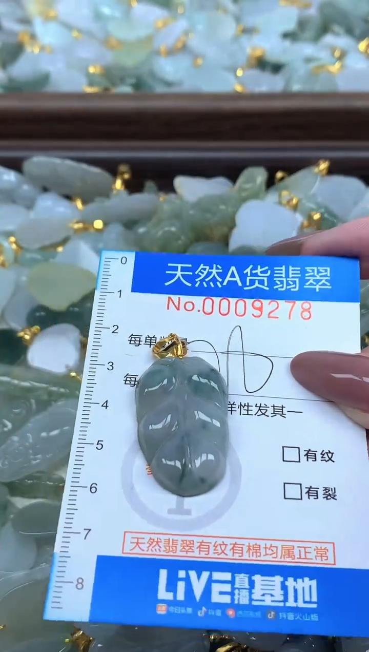 颈饰未镶嵌翡翠净货挂件-9278