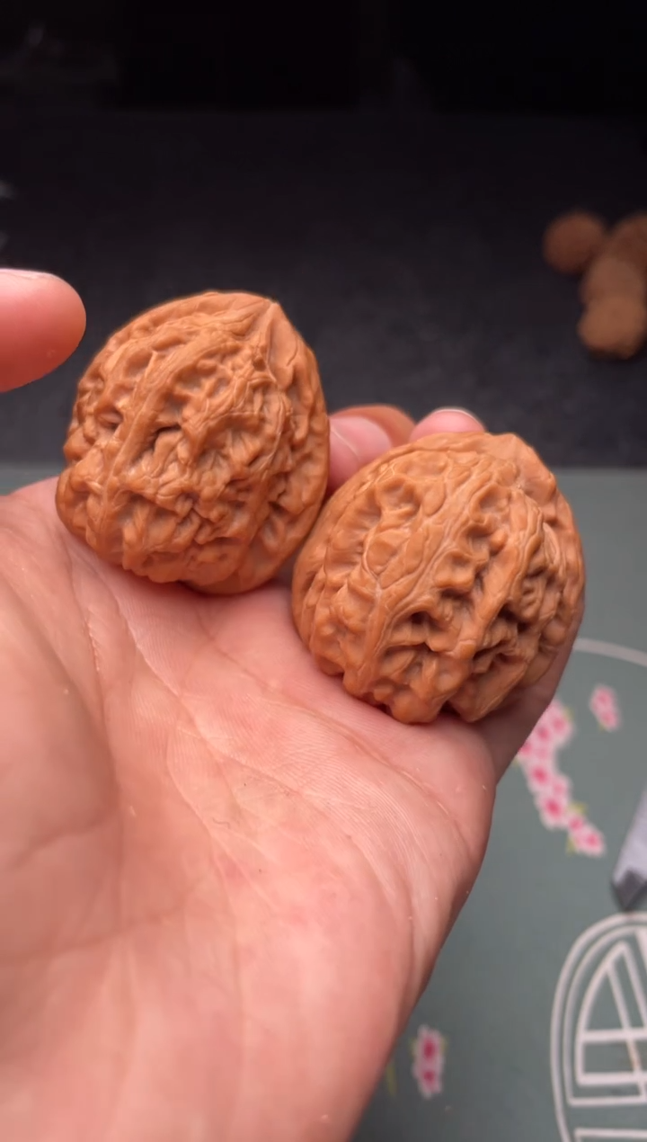 核桃a68   红锦鲤    40尺