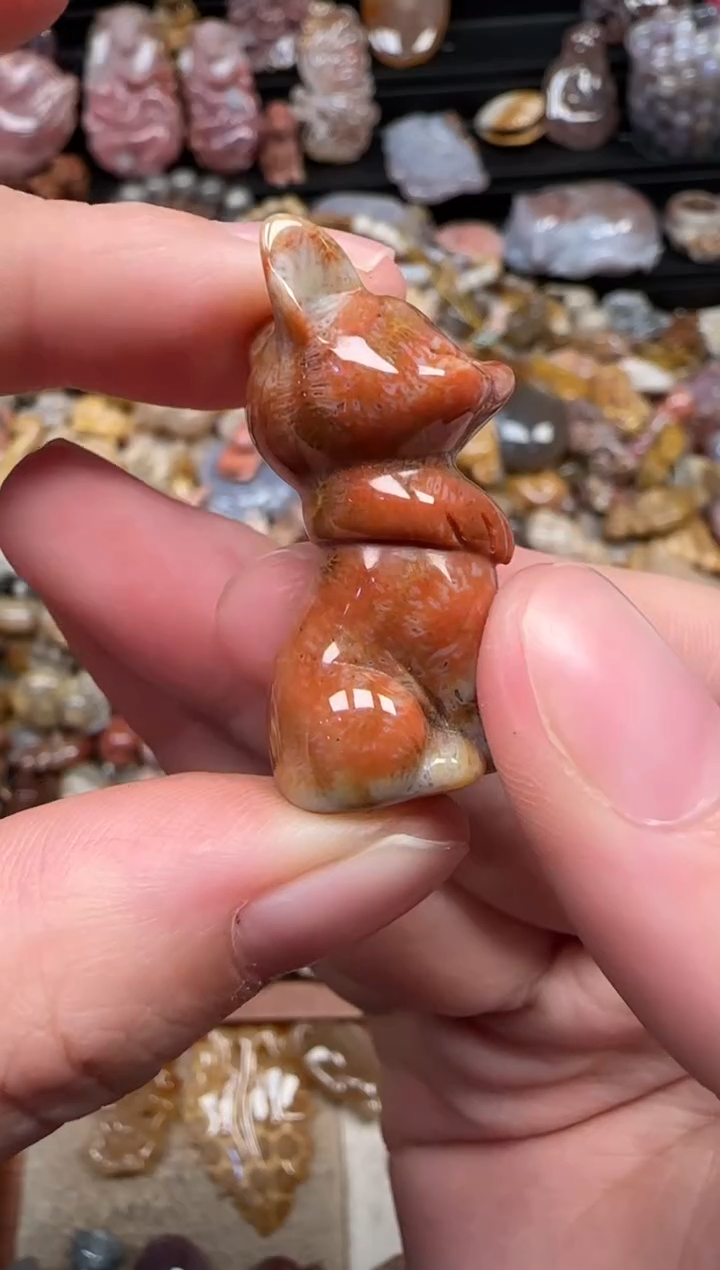 颈饰未镶嵌硅化珊瑚（珊瑚玉）150