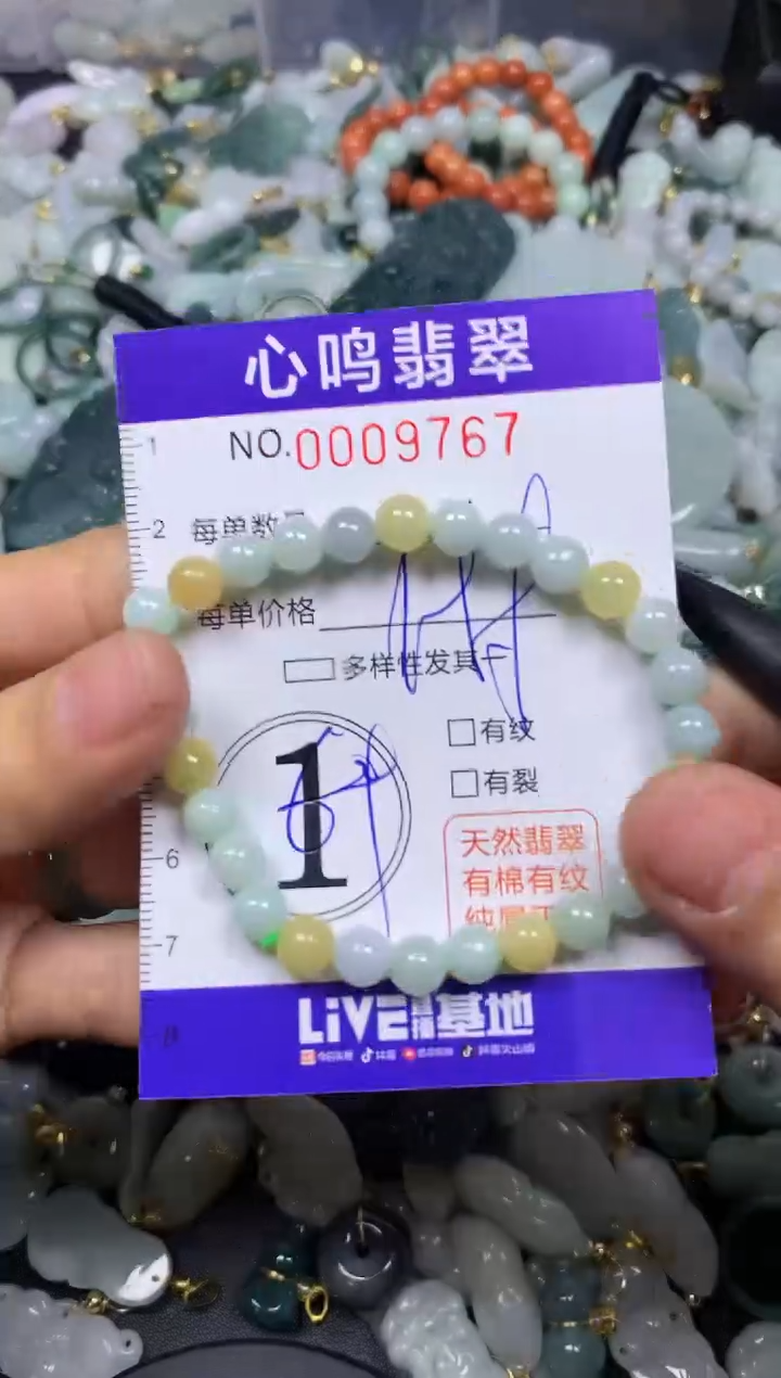 【闪购商品】翡翠颈饰未镶嵌闪购009767