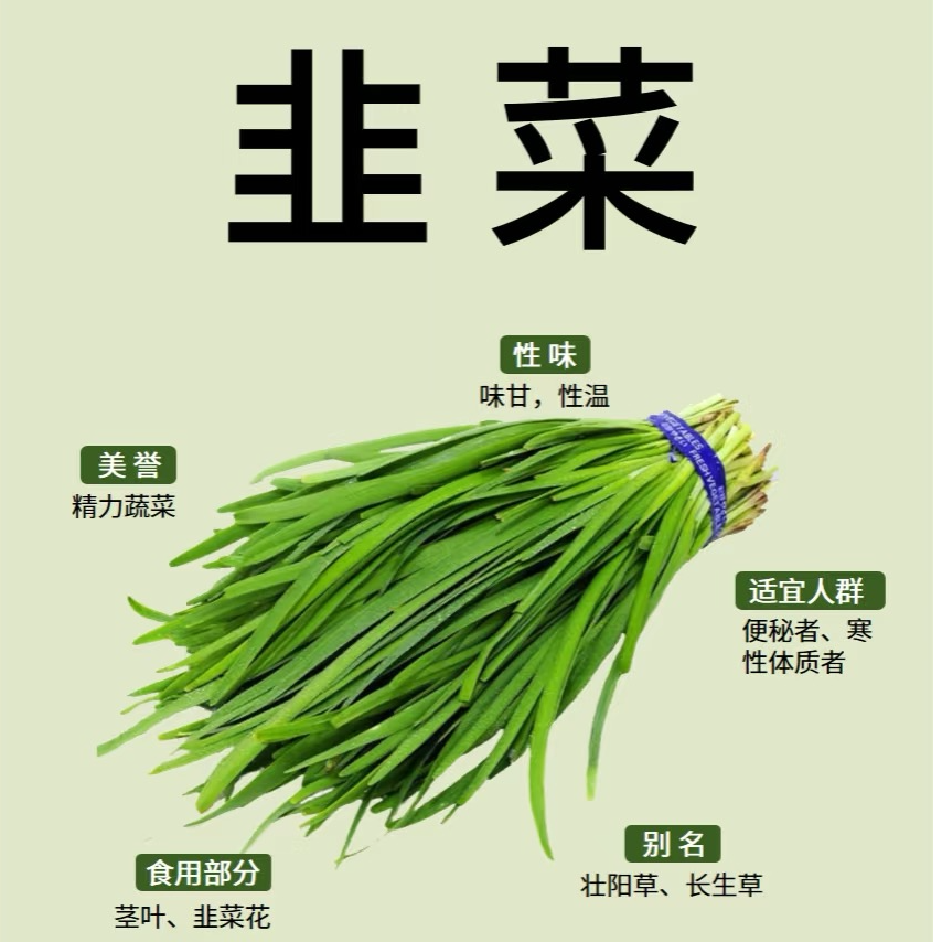【秋季新上韭菜单品】南京当季韭菜绿色健康蔬菜清炒江浙沪次日达绿色
