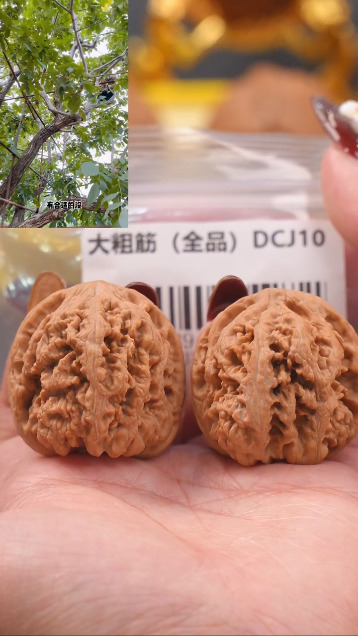 【闪购商品】文玩核桃把件39平谷粗筋（全品）