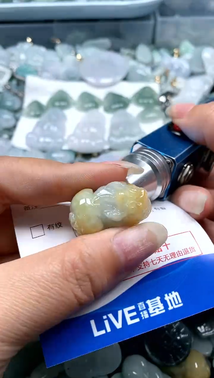 【闪购商品】翡翠颈饰未镶嵌闪购商品0189748