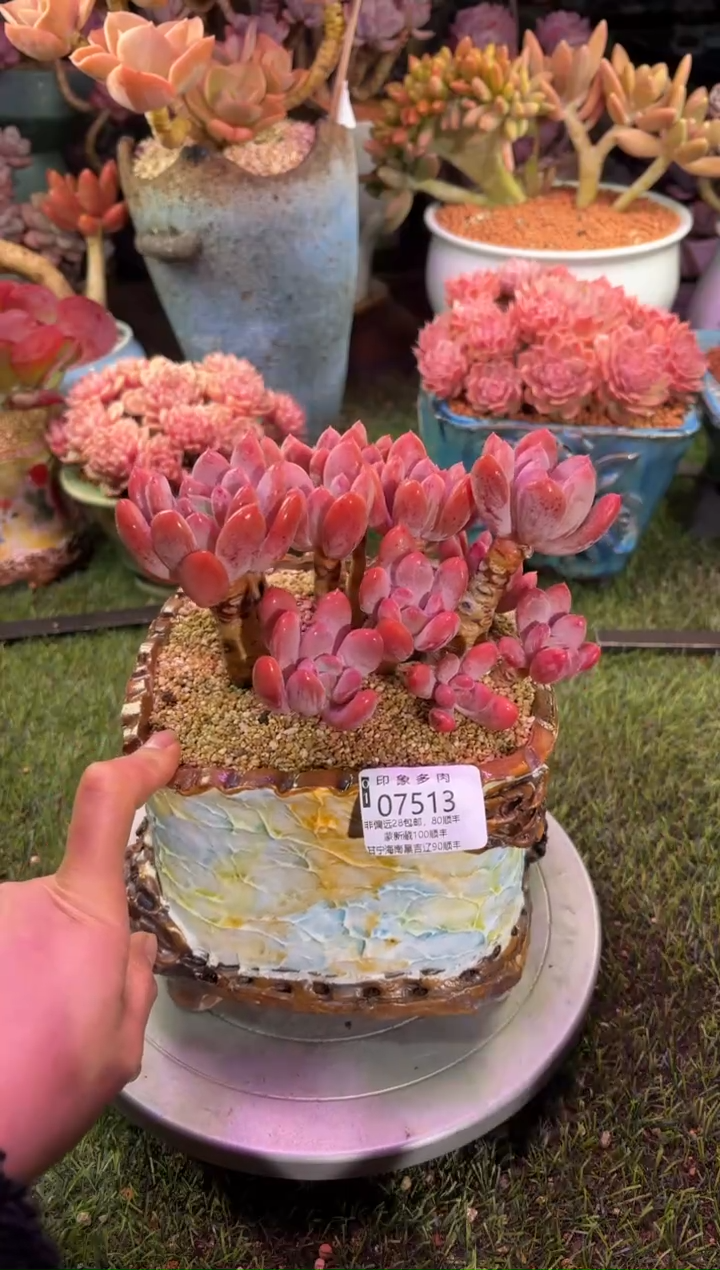 【闪购商品】07513