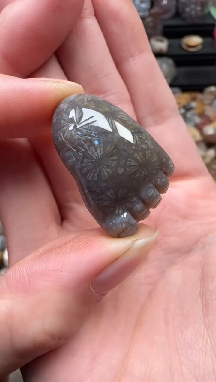 颈饰未镶嵌硅化珊瑚（珊瑚玉）713