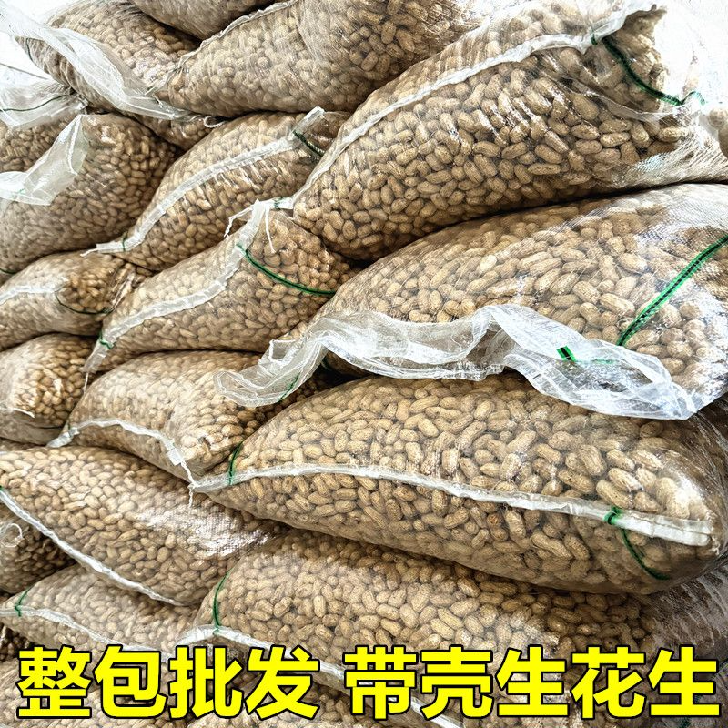 批发商用20斤50斤100斤带壳干花生饭店食堂夜市酒店排档水煮榨油