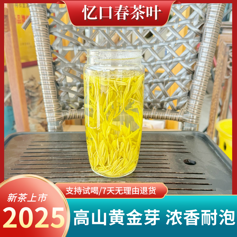 【自喝款黄金芽H88】2025年新茶春茶好茶高山海拔黄金芽袋装