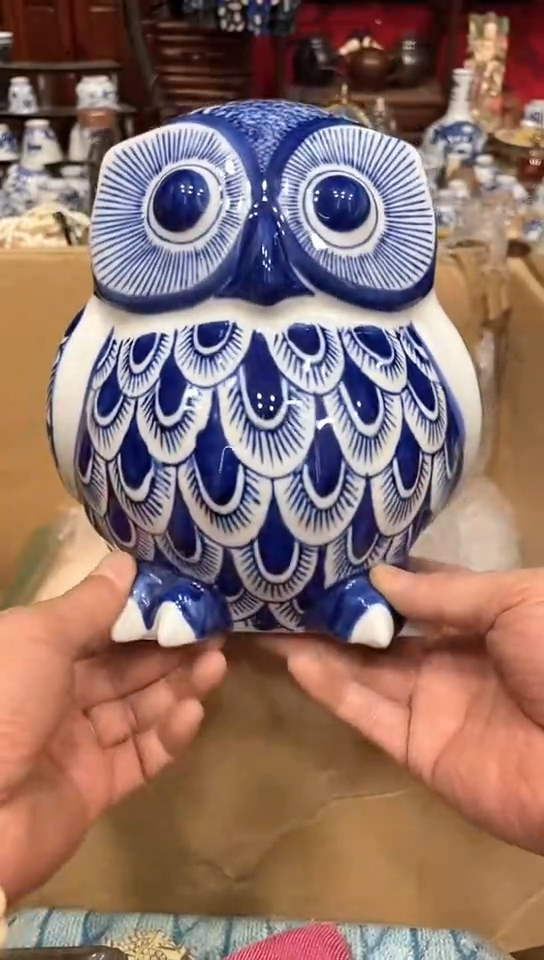 发发发发发发发发发发发