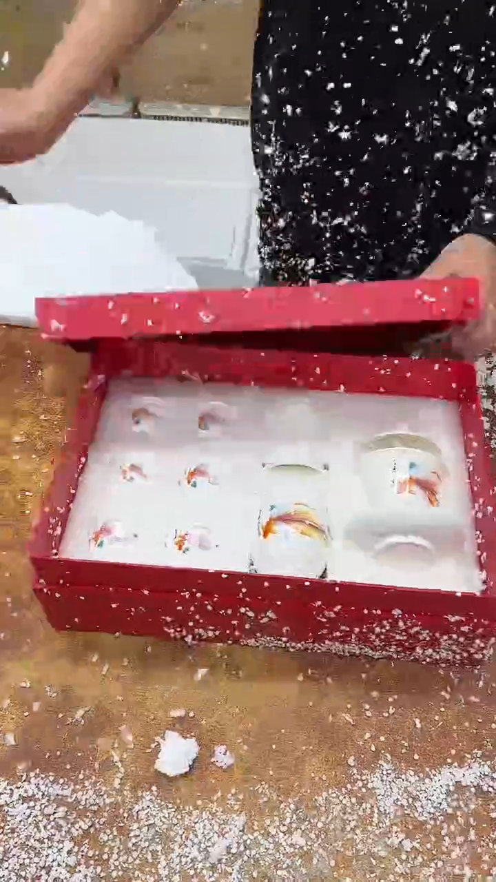 瓷片其他其他其他其他