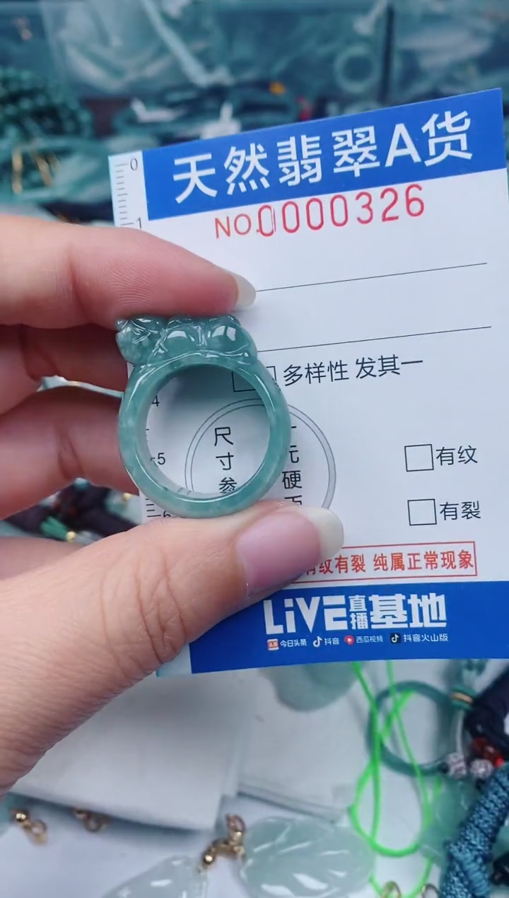 颈饰未镶嵌翡翠00000326