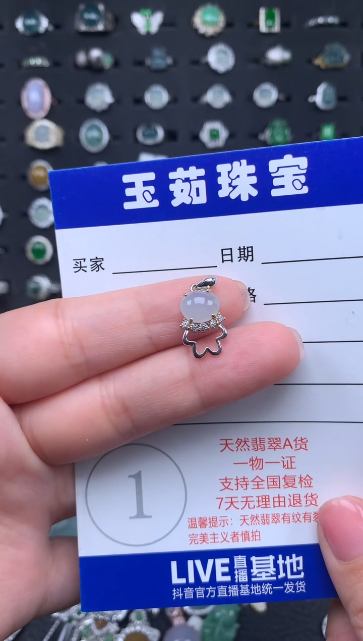 【闪购商品】翡翠颈饰银S925镶嵌234234