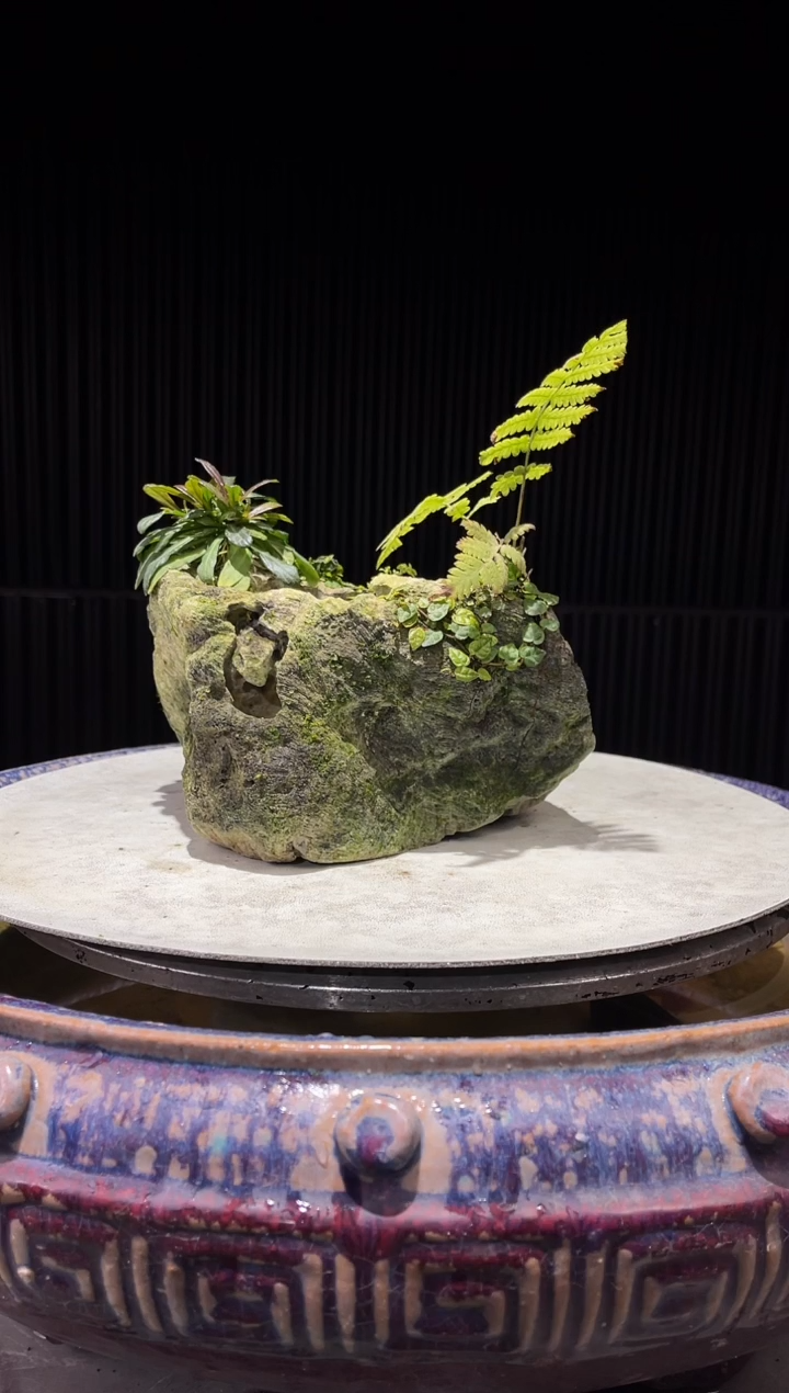 造型吴定石一物一拍专属