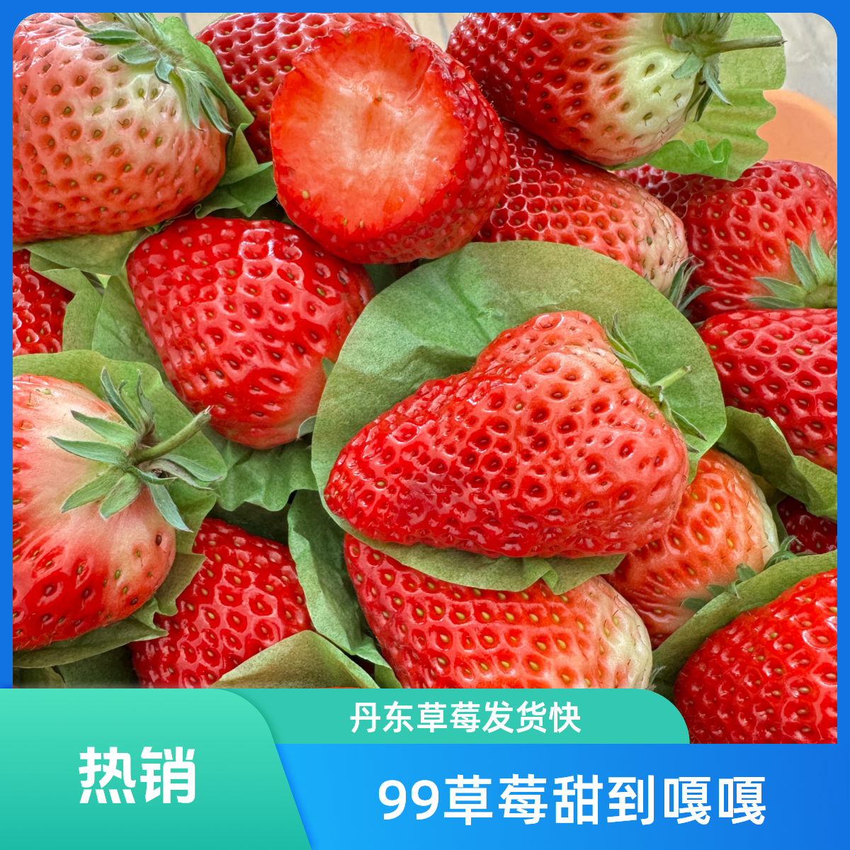 【草莓大咖】辽宁正宗丹东九九草莓5排甜果98元2斤嘎嘎甜