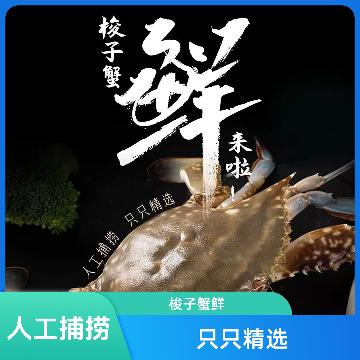 【保鲜不保活】东海野生吴淞蟹单只4-6两到手3斤6只左右海鲜梭子蟹