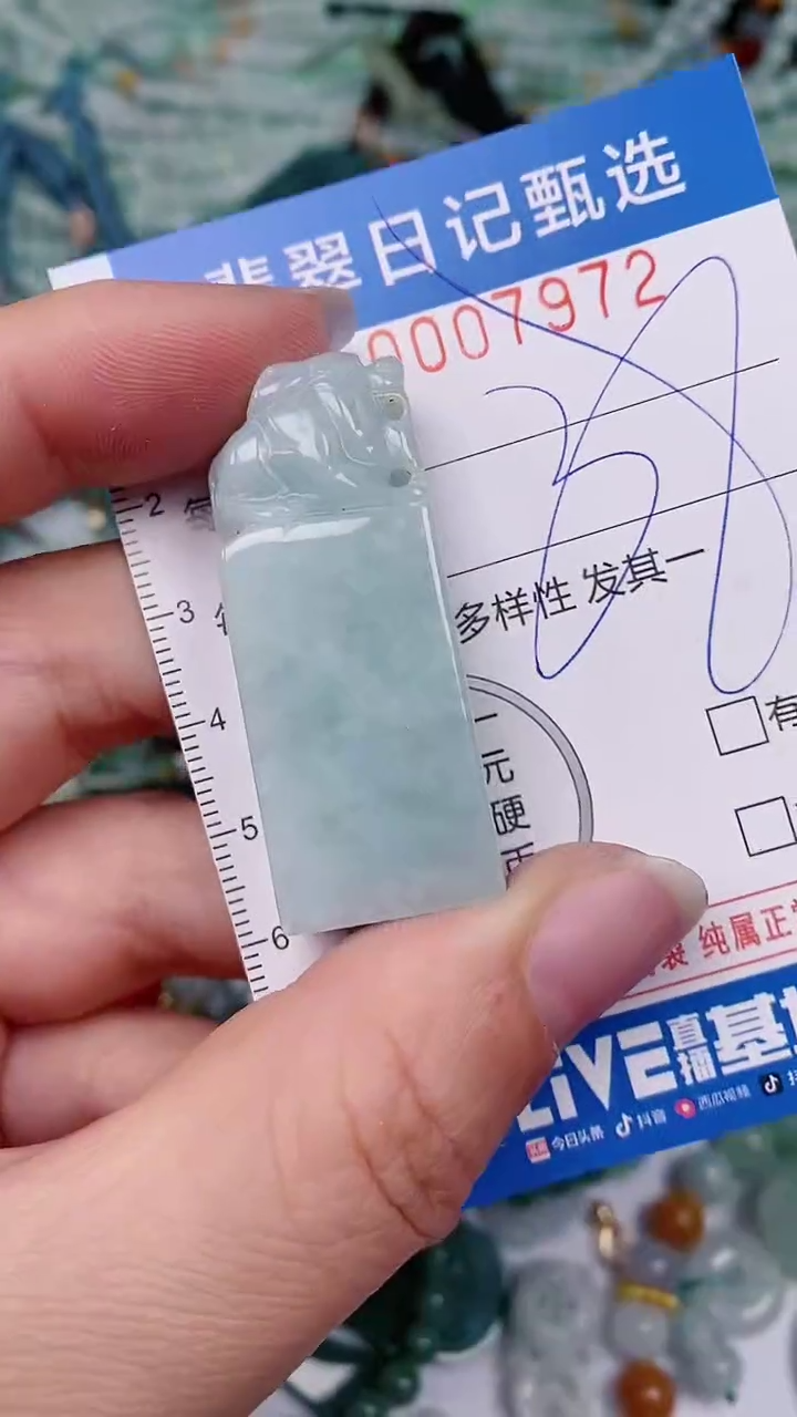 【闪购商品】翡翠颈饰未镶嵌00007972