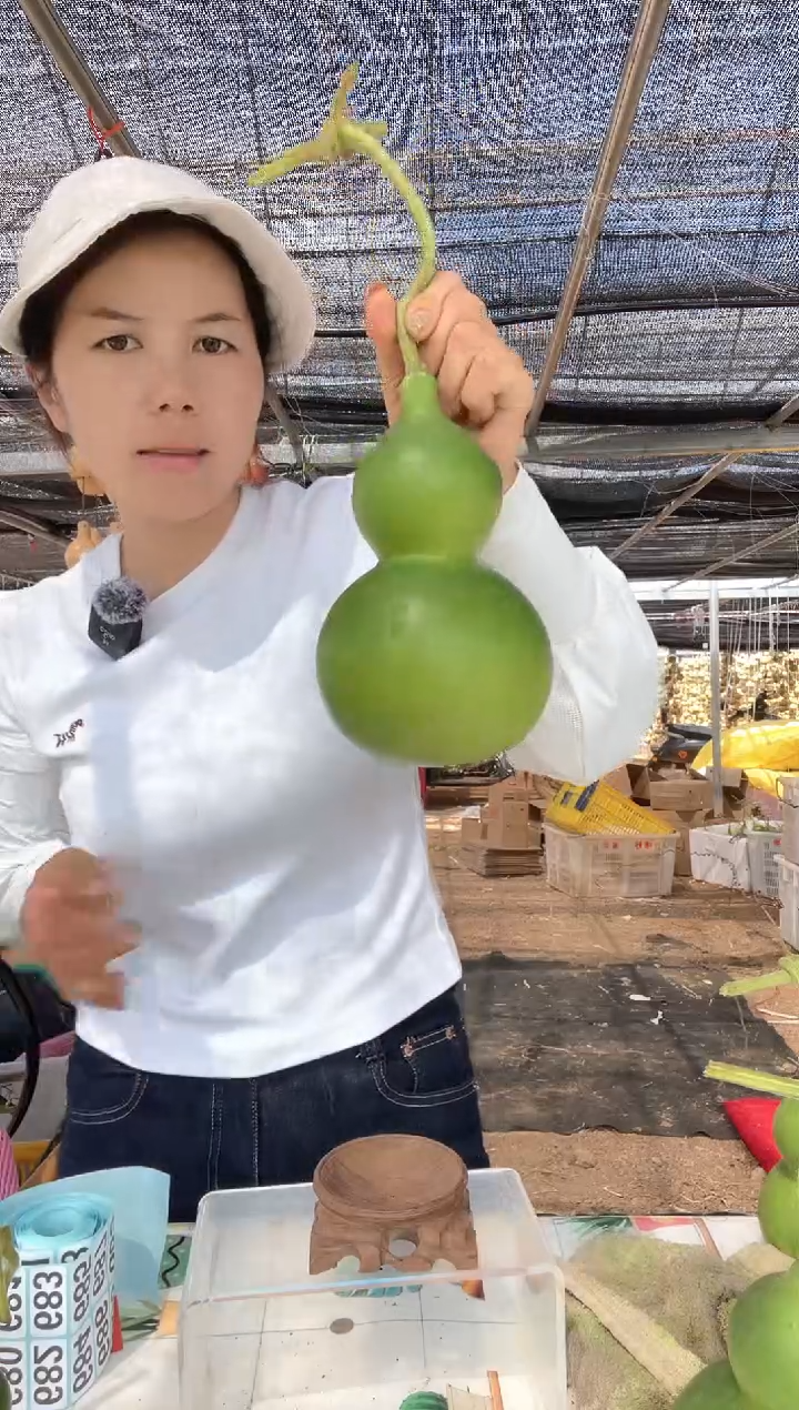 672天然葫芦摆件 一物一拍龙头不保售后