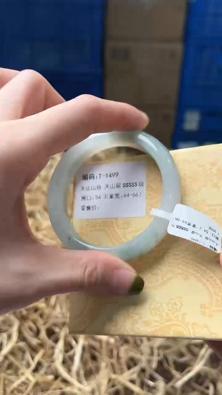 未镶嵌手镯石英质玉T1499