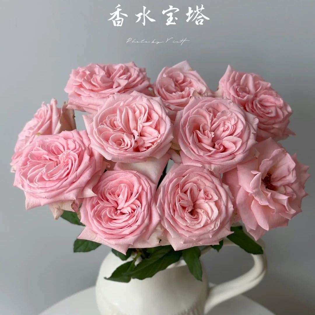 香水宝塔，单头玫瑰，1单冷链包邮，2单升级京东或者顺丰，远的发德邦