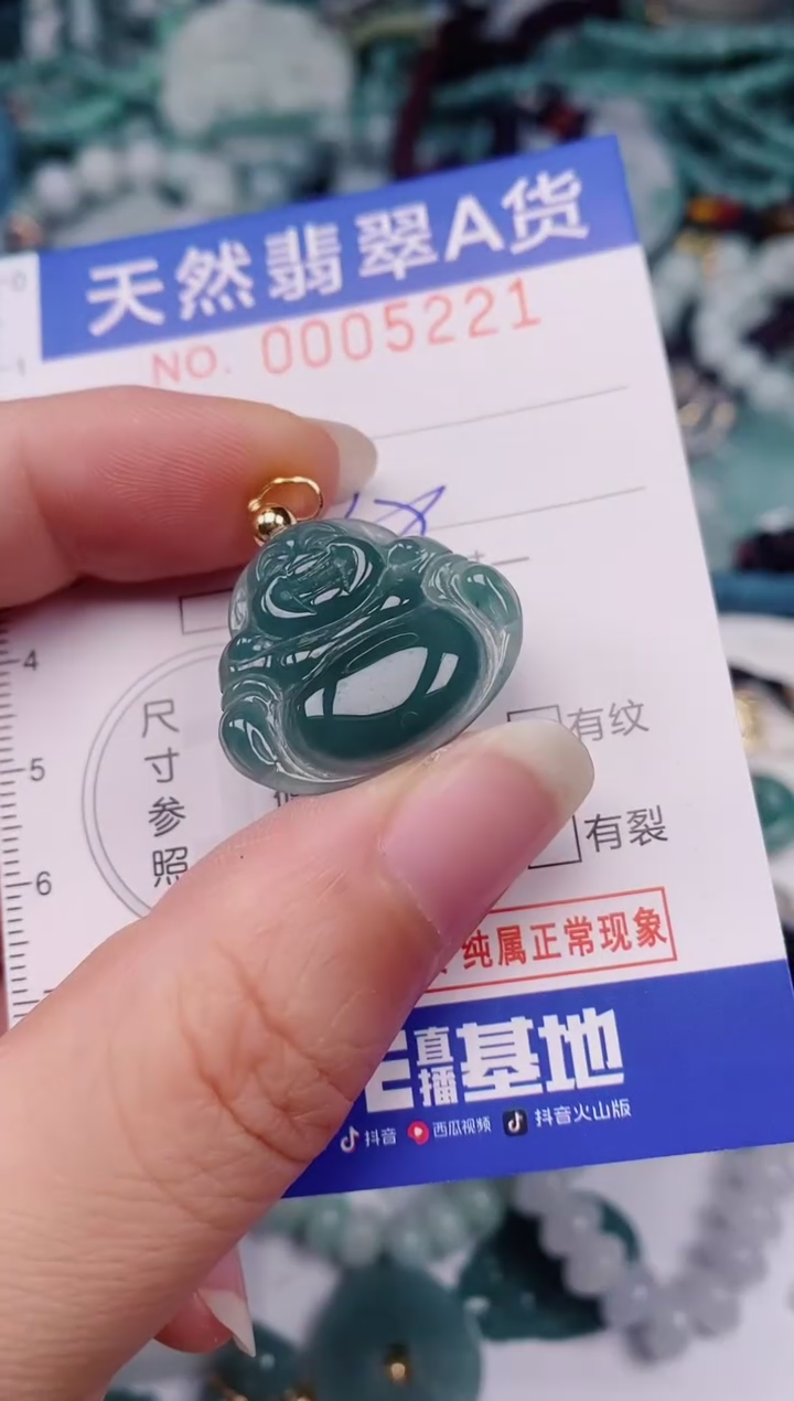 颈饰未镶嵌翡翠00005221