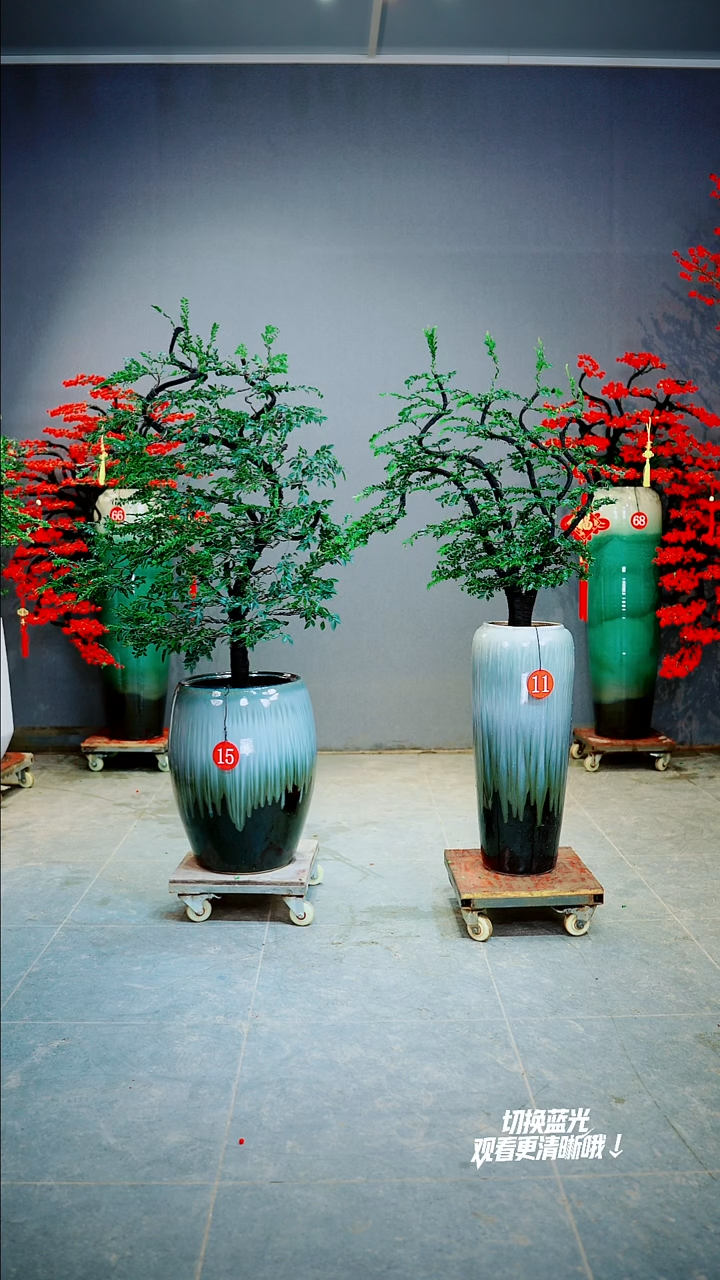 以实际为准何**风15号一物一拍绿植