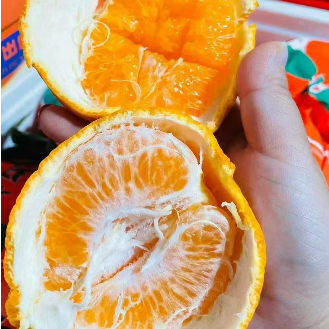 春见耙耙柑 送货上门