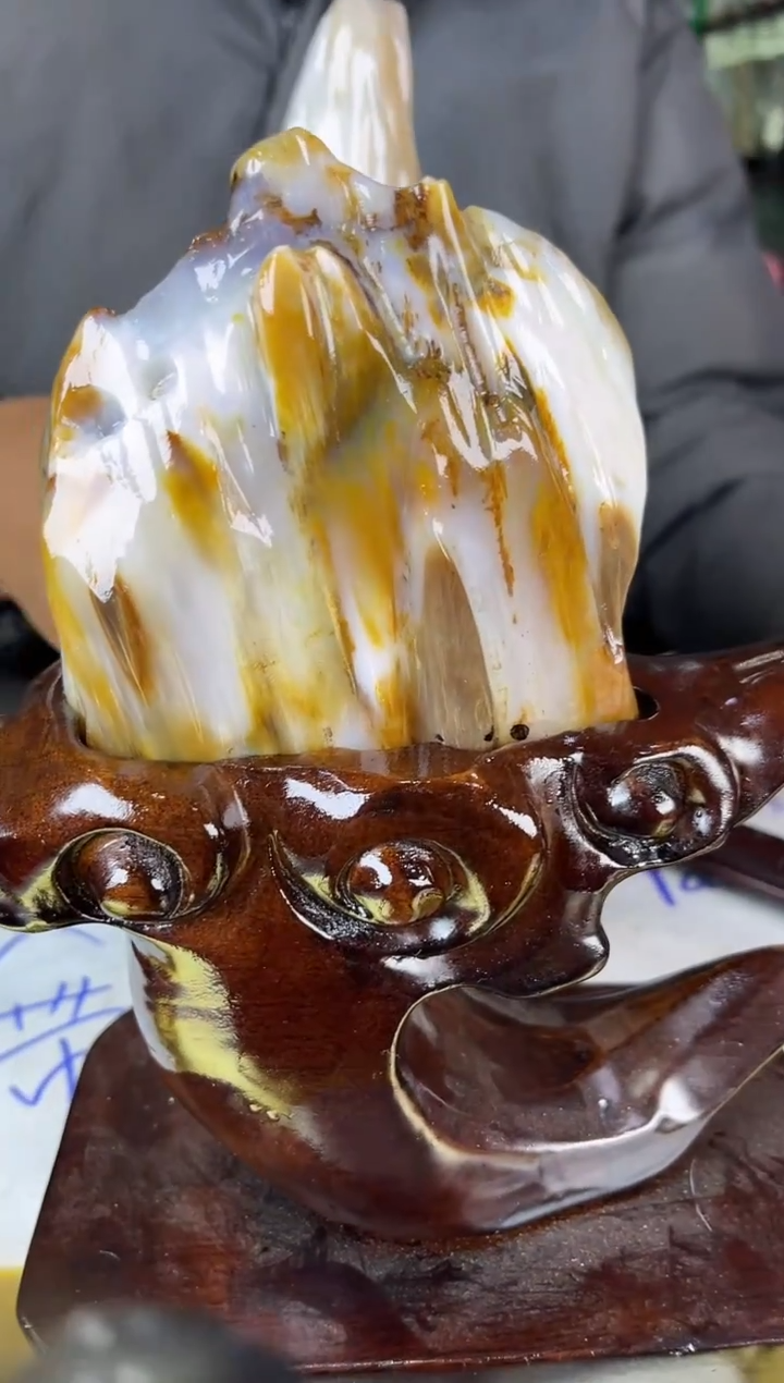 未镶嵌珠宝奇石硅化玉缅甸天然树化玉精品居家摆件