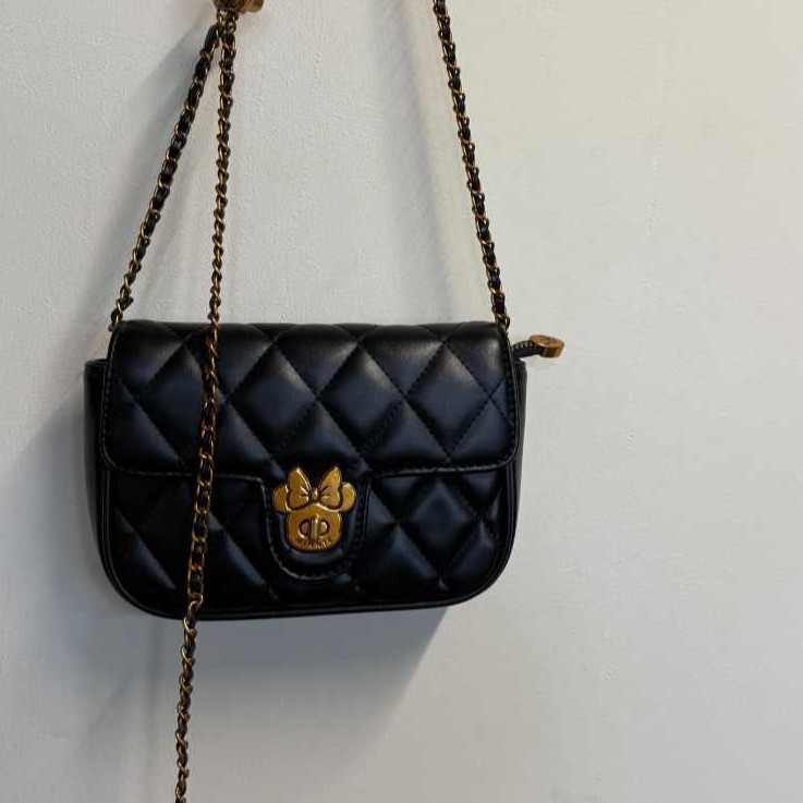 新款时尚百搭女士小众单肩斜挎包CH242