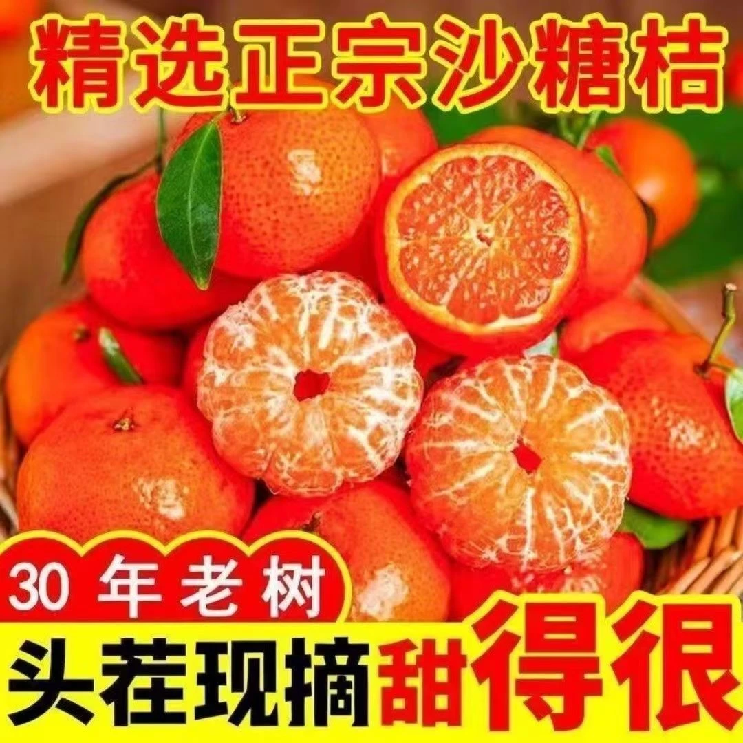 广西正宗砂糖橘当季应季新鲜现摘水果多汁产地直发B