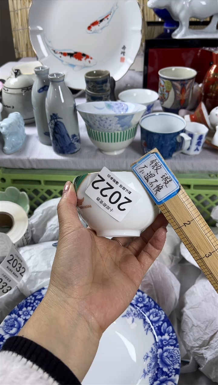 【闪购商品】碟              2022