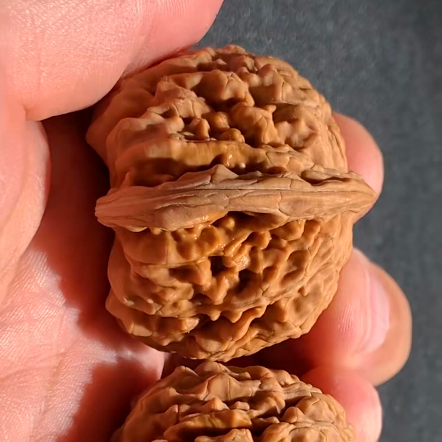 沉水楼轻修四座楼野生原树文玩核桃老手新手均可小众红皮