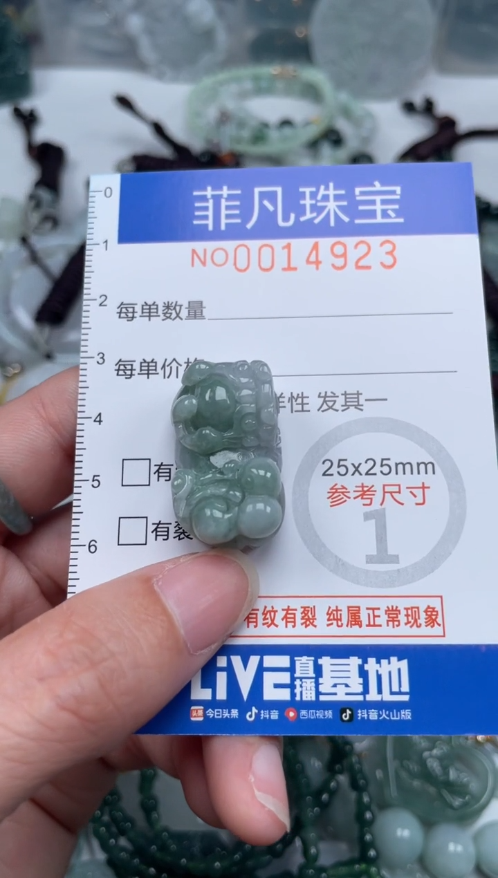 颈饰未镶嵌翡翠14923