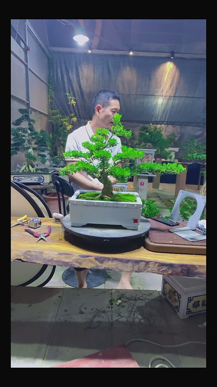 完全开放森111111111111111