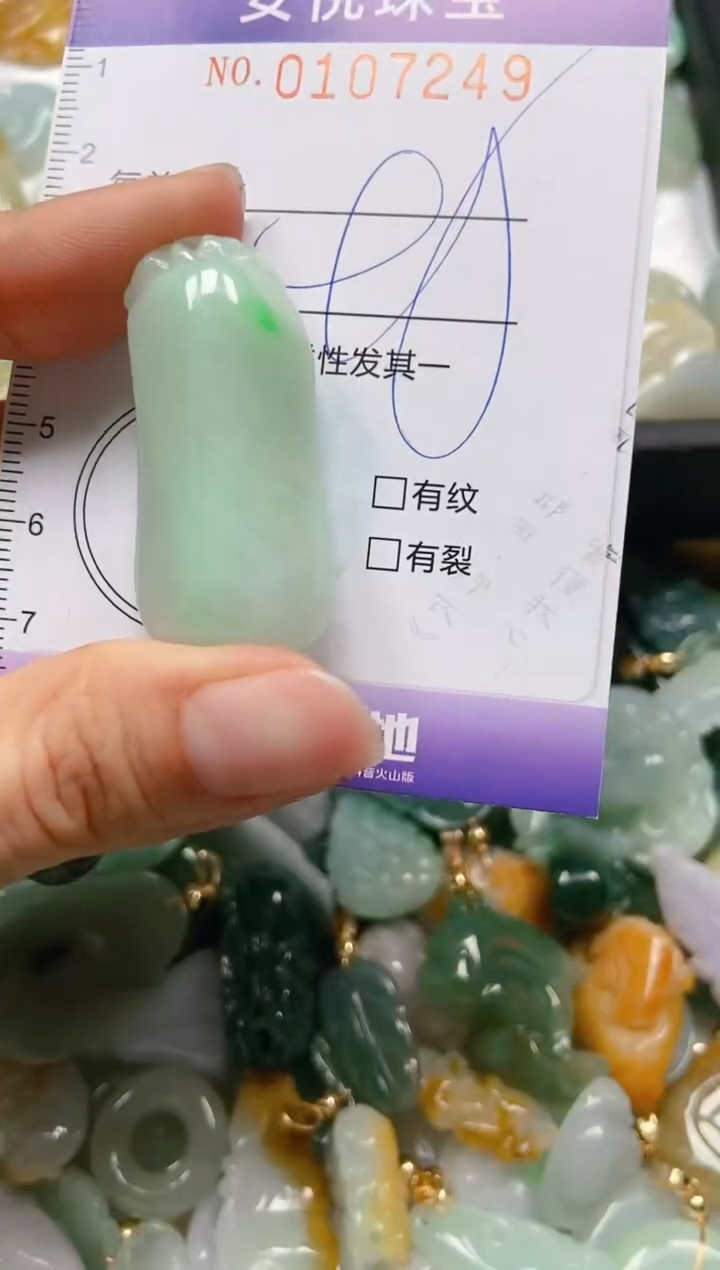 【闪购商品】翡翠颈饰未镶嵌闪购0107249