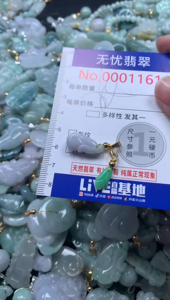 颈饰未镶嵌翡翠1161