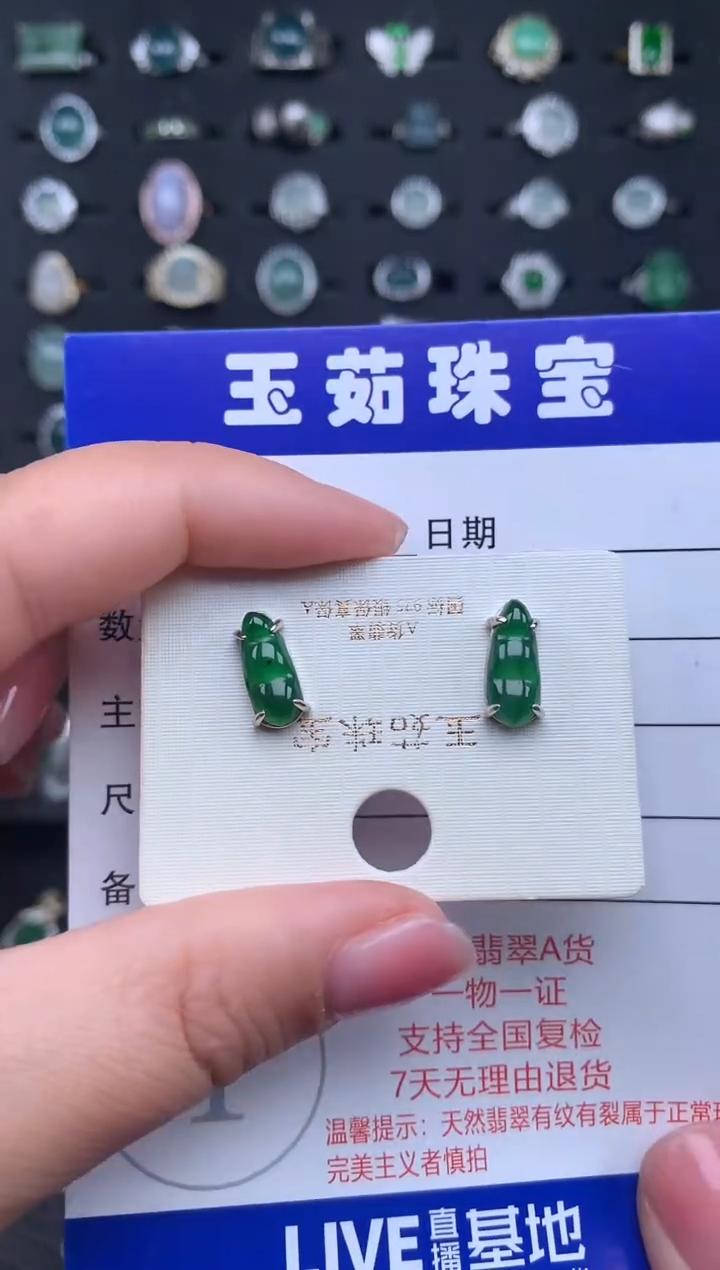 【闪购商品】翡翠颈饰银S925镶嵌234234