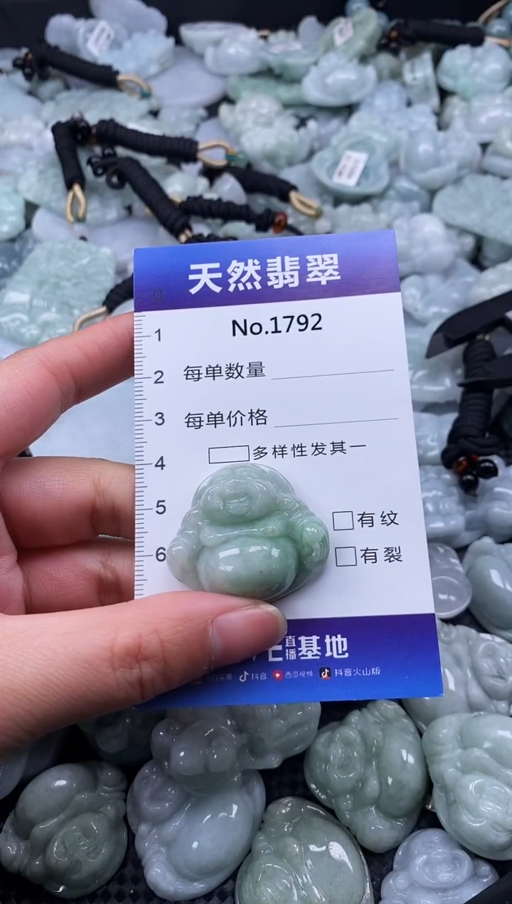 【闪购商品】翡翠颈饰未镶嵌缅甸A货翡翠1792