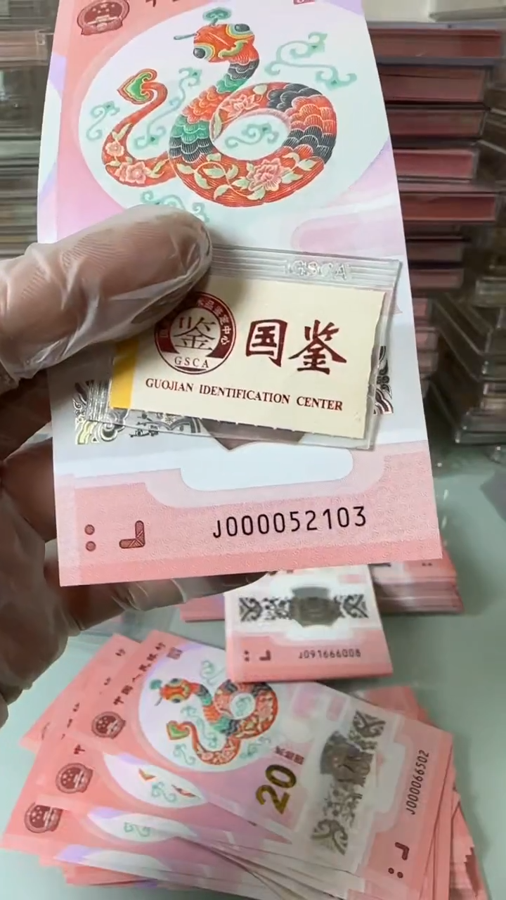 【闪购商品】塑料000052103-蛇钞单张！