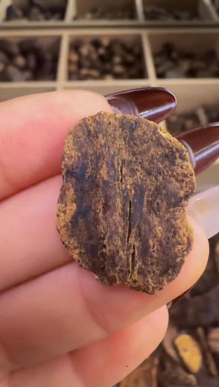 【闪购商品】沉香吊坠越南惠安红土