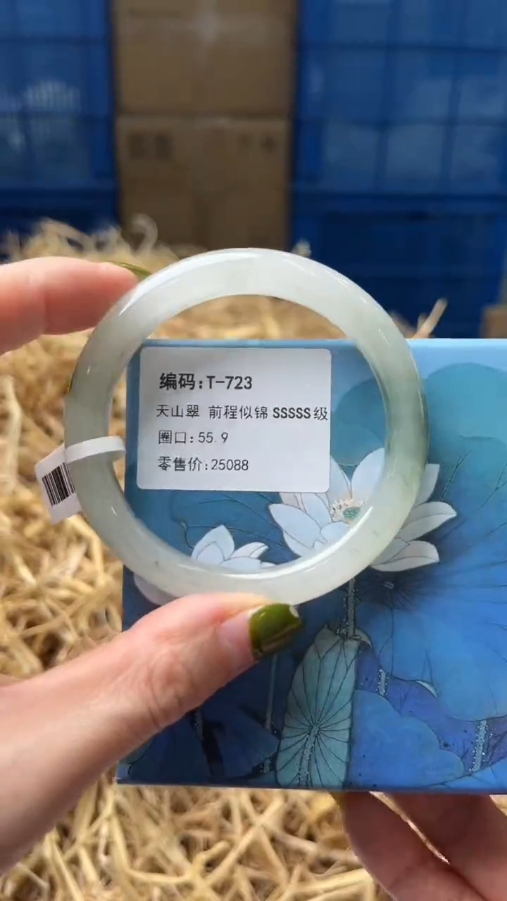 未镶嵌手镯石英质玉T723