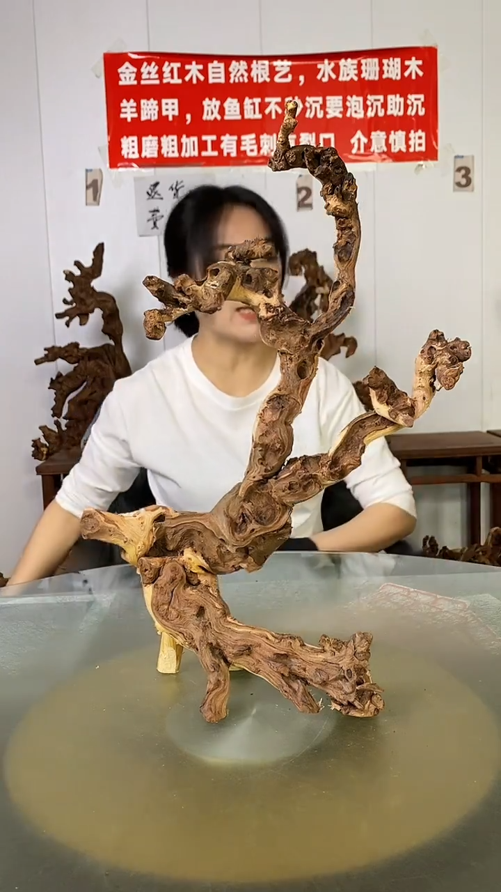 木垚*爸金丝红木 羊蹄甲