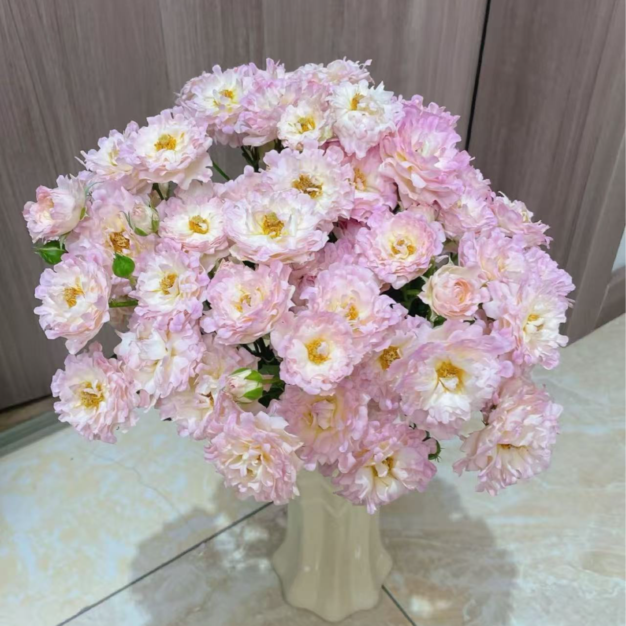 逸禾基地梦幻海葵多头玫瑰鲜花基地直采直发1单顺丰包邮含保鲜剂