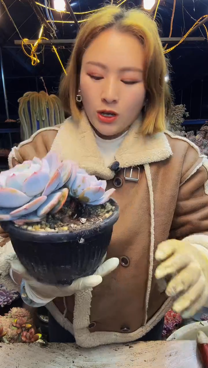 ?**?8号一物一拍脱土包邮