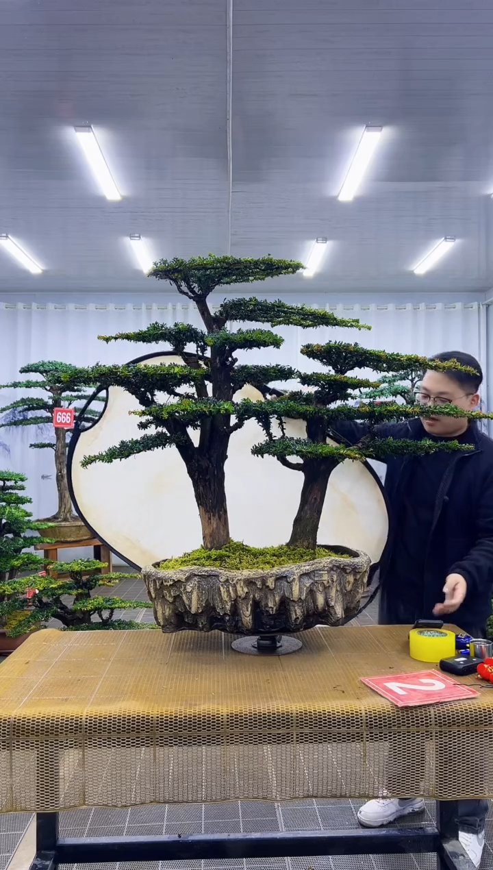 无花朵赣****地000000000000000