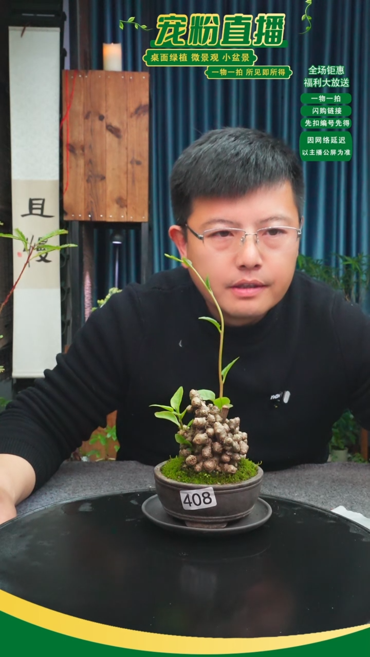 无花朵墨**妙苔藓微景观408号